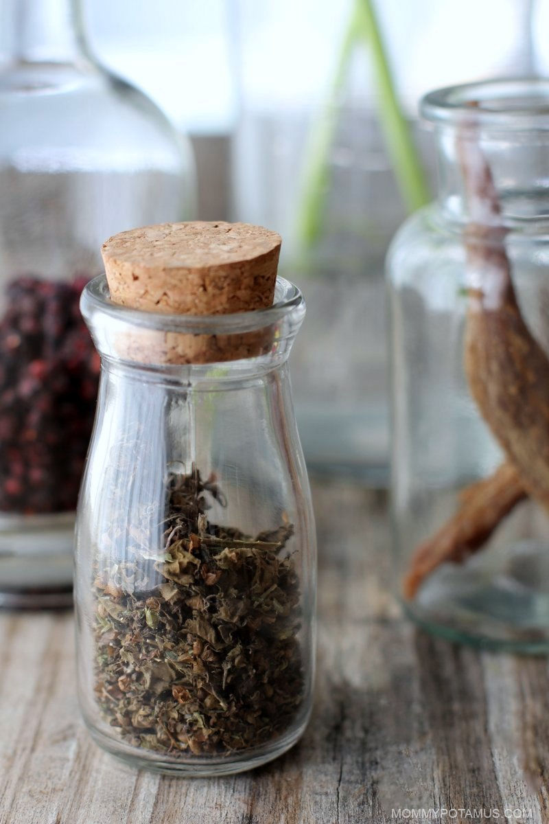 Close up view of dried holy basil leaves in jar