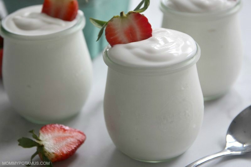 Homemade vegan discount yogurt instant pot