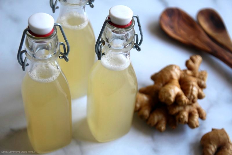 homemade ginger ale recipe
