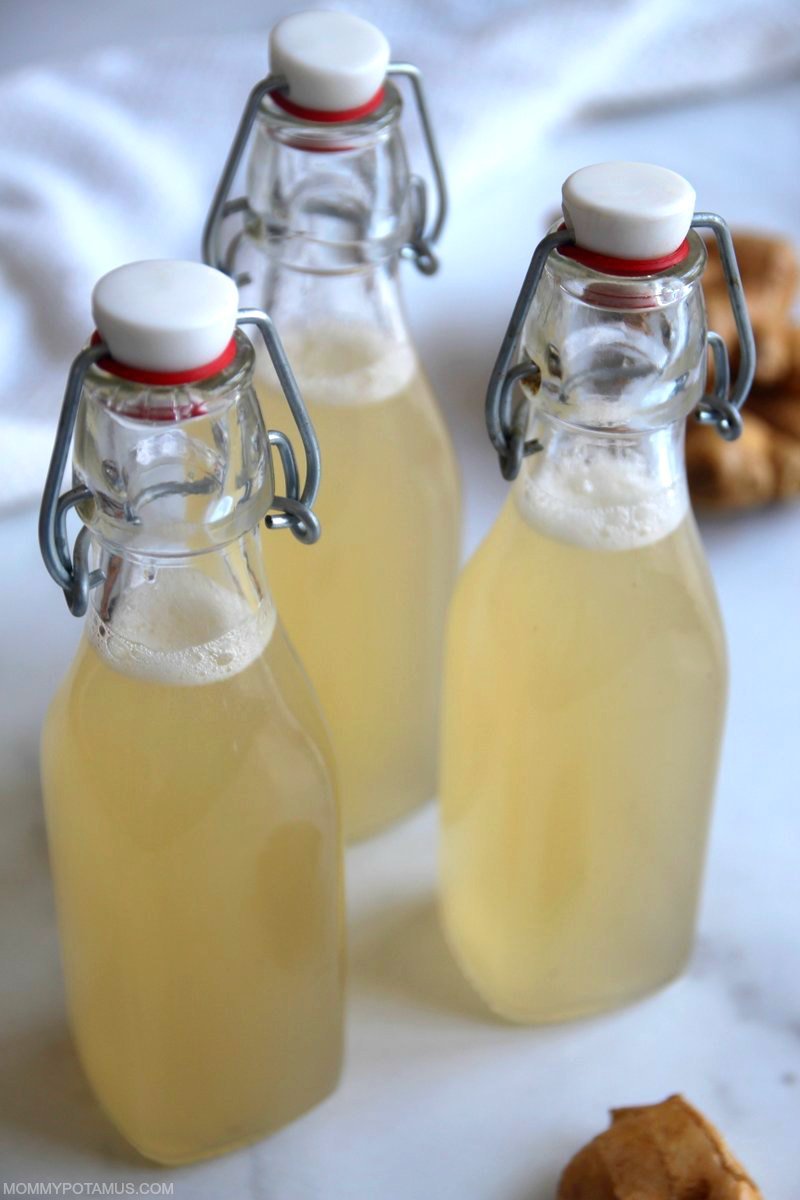 Overhead view of homemade ginger ale in swing top bottles