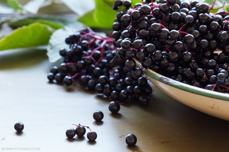 does elderberry cause cytokine storms