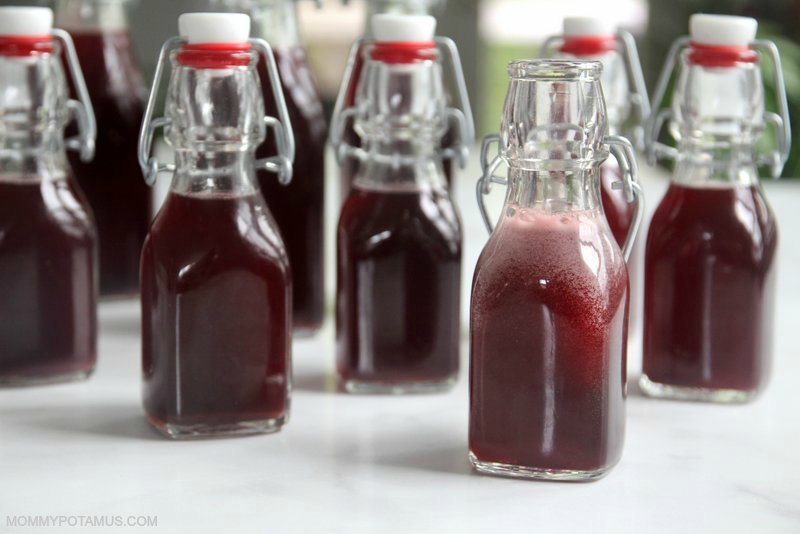 elderberry soda recipe