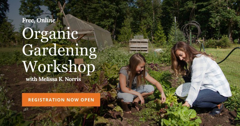 SIgnup button for free organic garden class