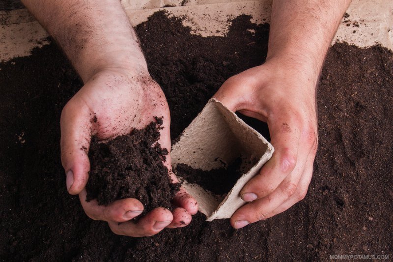 Placing gardening soil in container