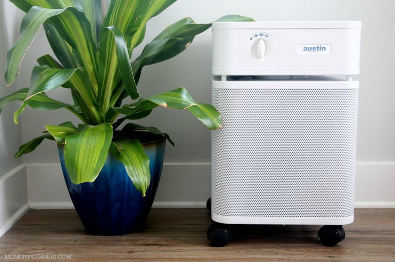 Austin Air Purifier next to houseplant