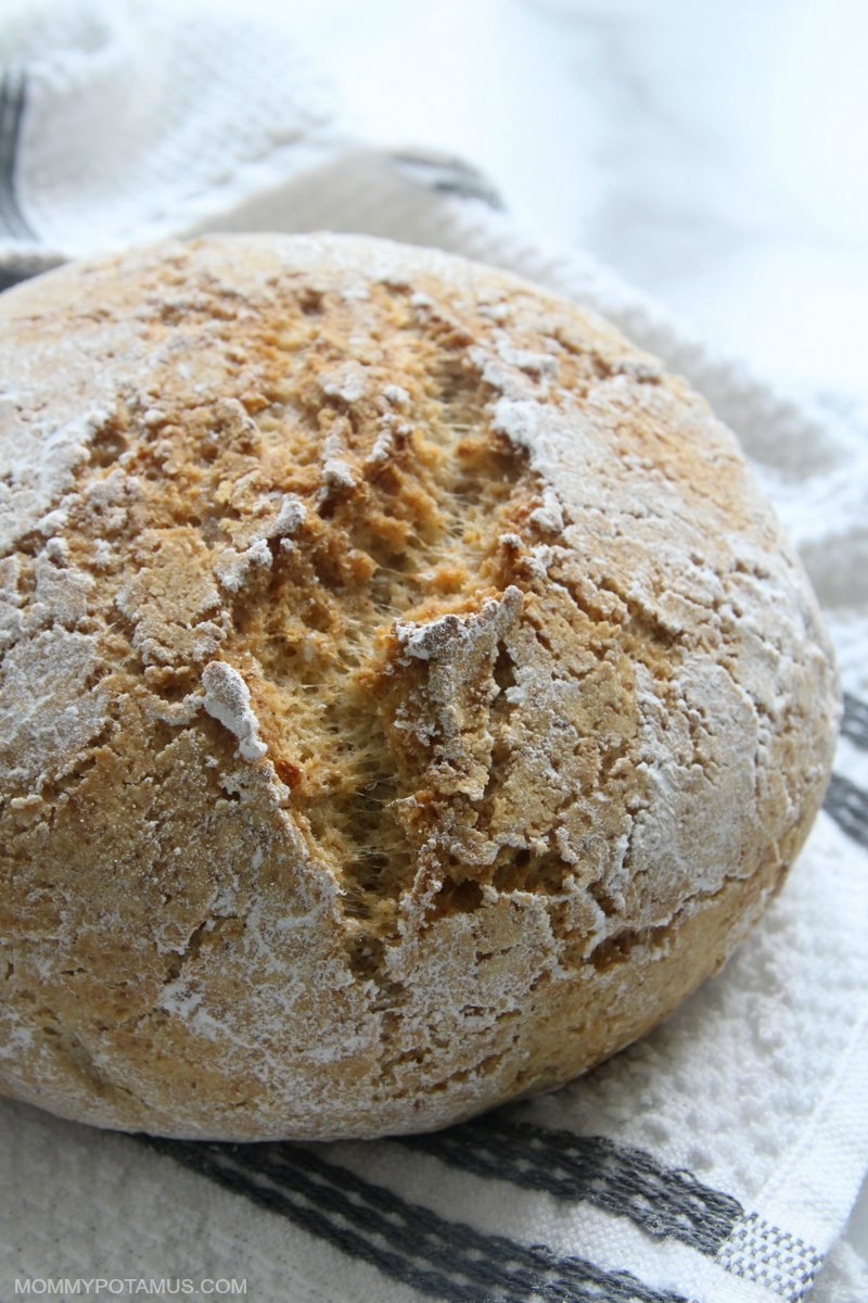 How to Make Gluten-Free Sourdough Bread • Boule & Loaves!