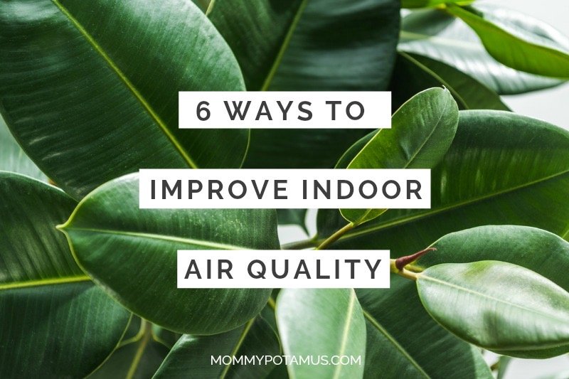 6 Ways To Improve Indoor Air Quality (And Why You Need To)