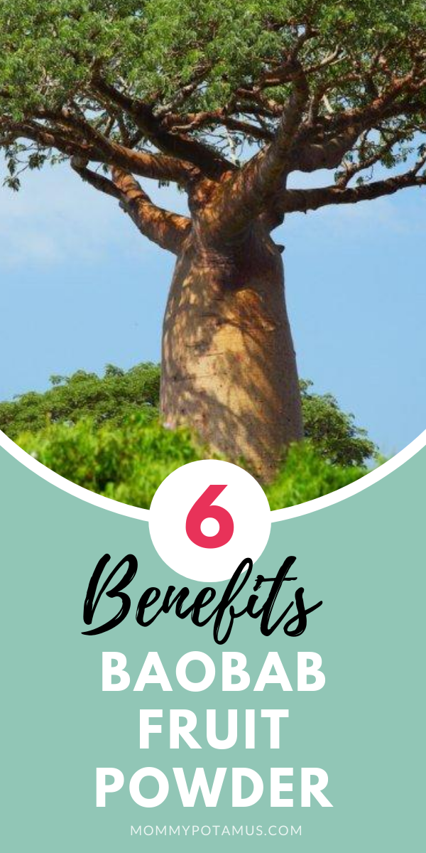 6 Benefits of Baobab Fruit Powder & How To Use It