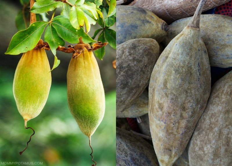 benefits of baobab fruit powder