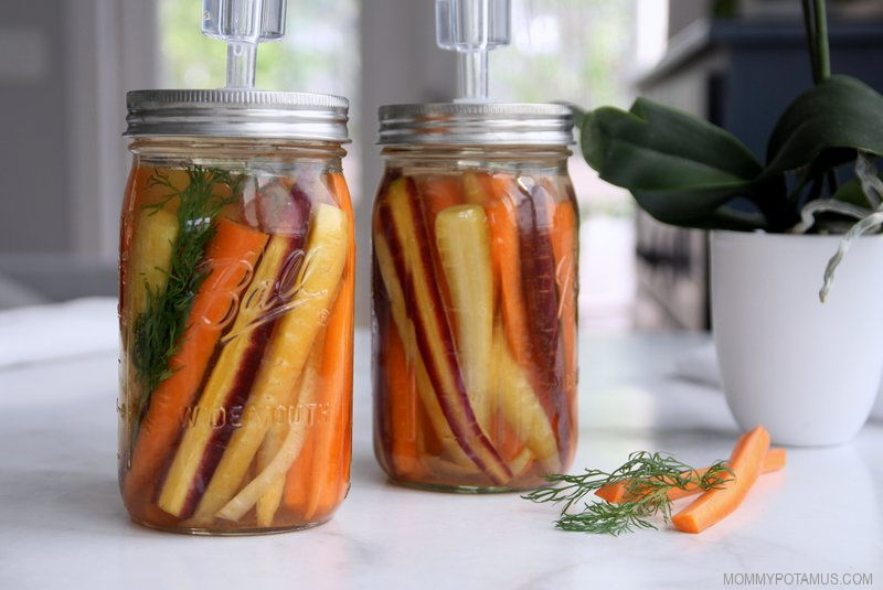 Fermented carrots in mason jars on counter