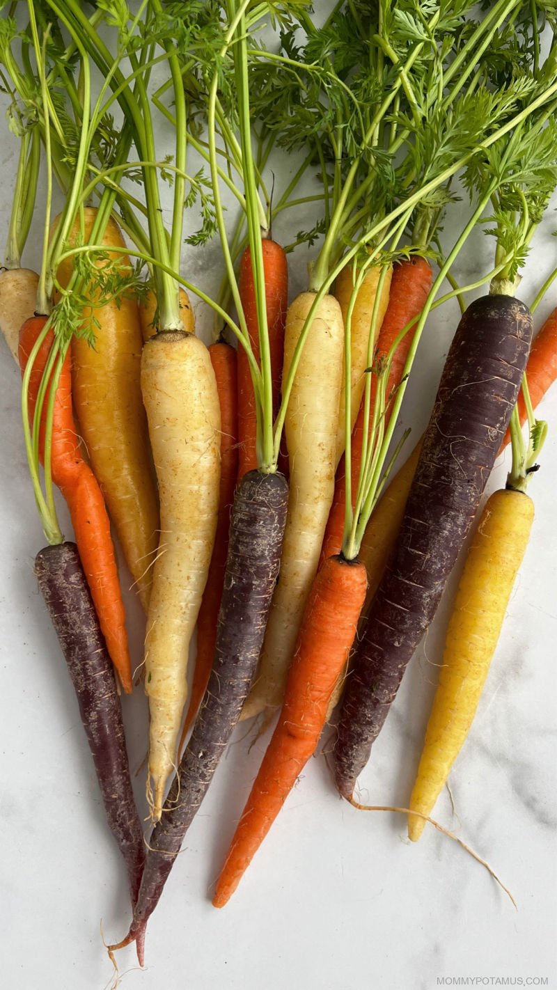 Fermented carrot sticks in jars