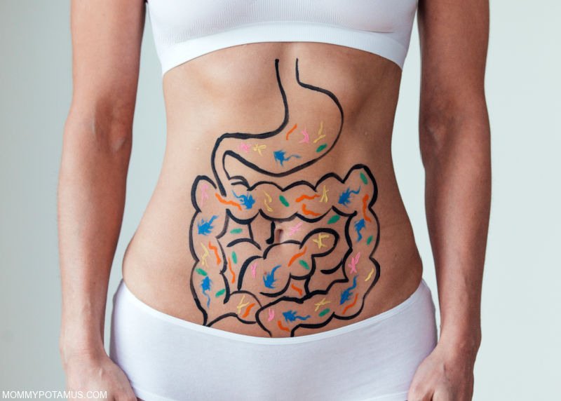 Woman with gastrointestinal tract and beneficial bacteria painted on her stomach