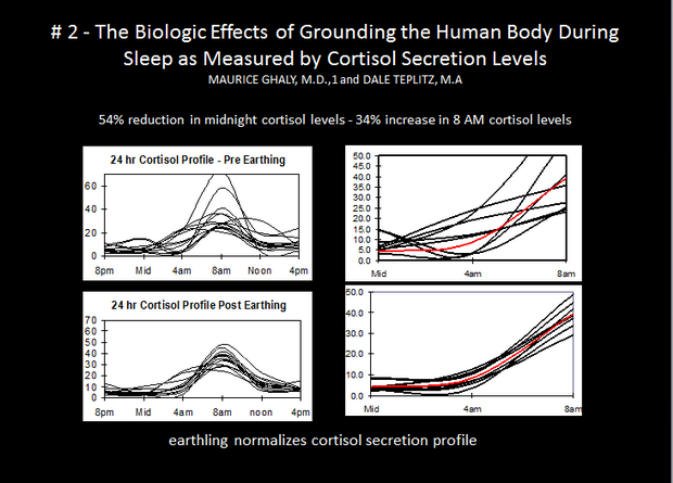 cortisol profiles