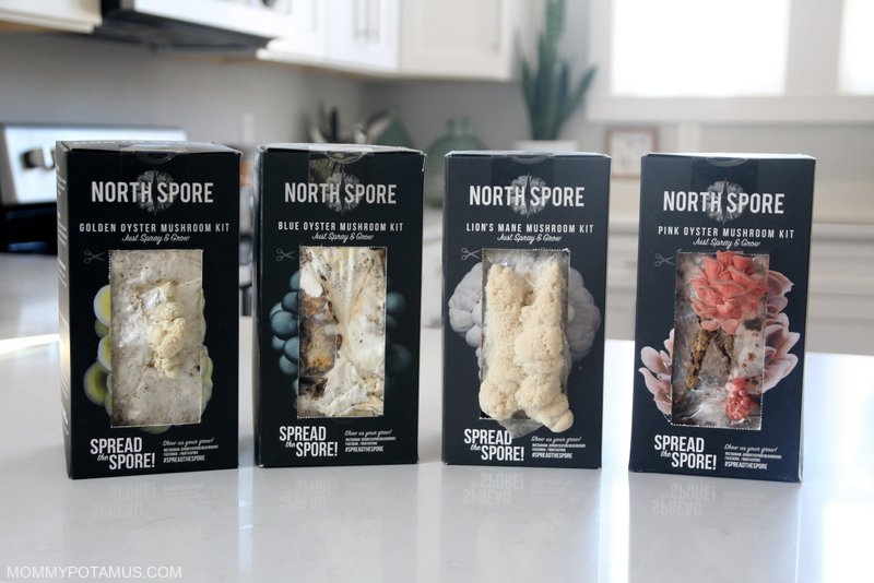 north spore review