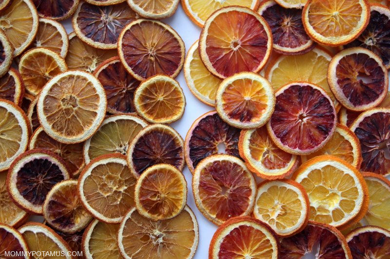 dried orange slices oven vs dehydrator