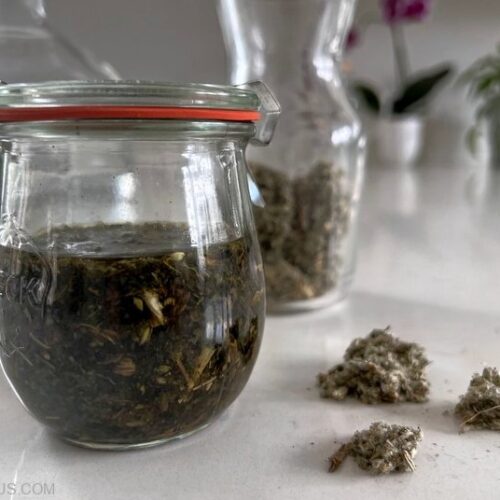 4 Artichoke Leaf Benefits + How To Use It