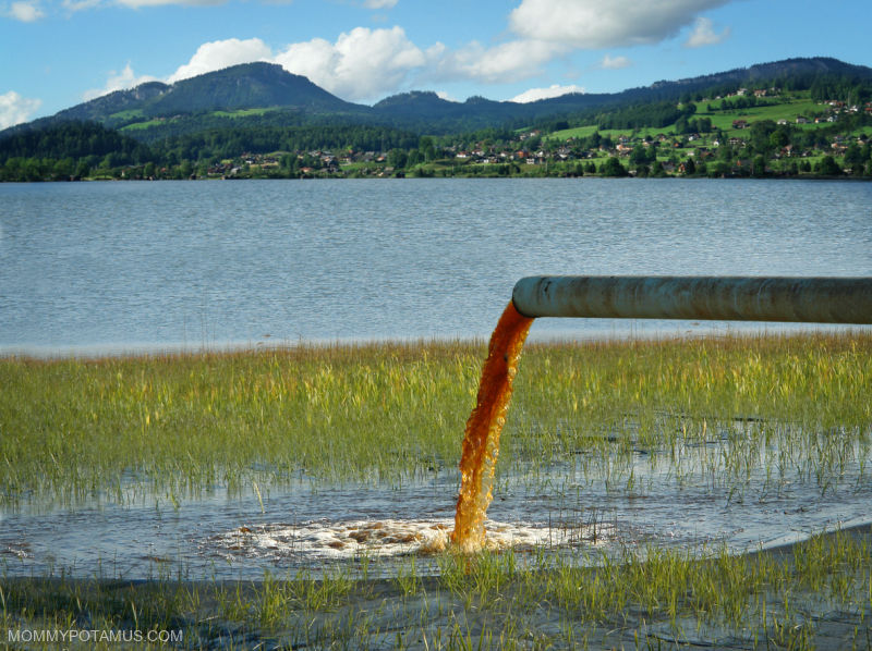 Polluted water flowing out of pipe into a lake. 