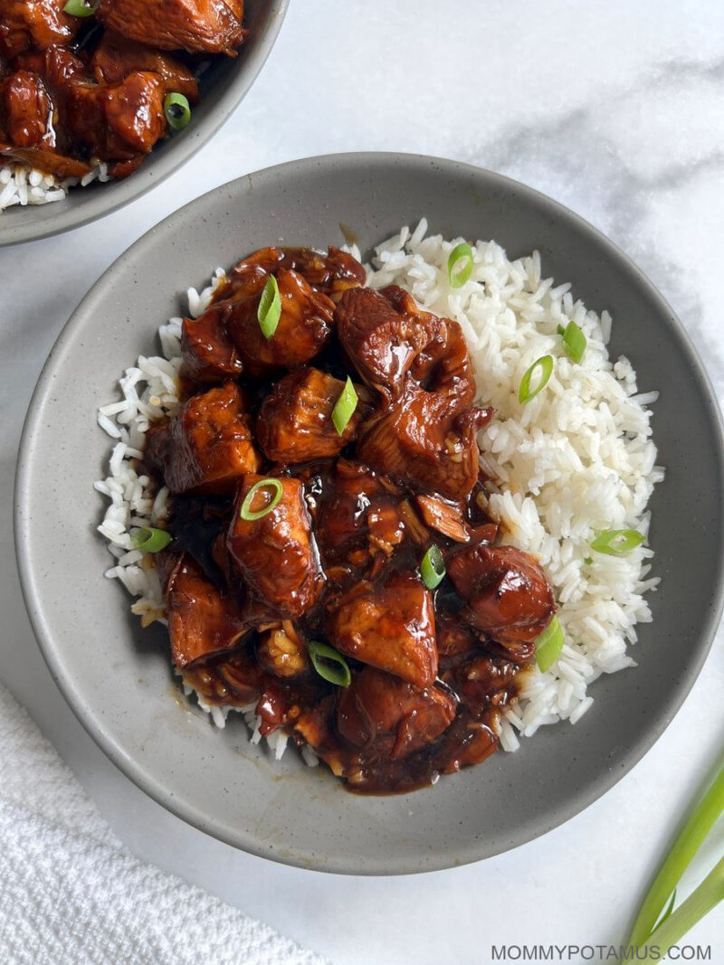 Instant Pot Teriyaki Chicken and Rice