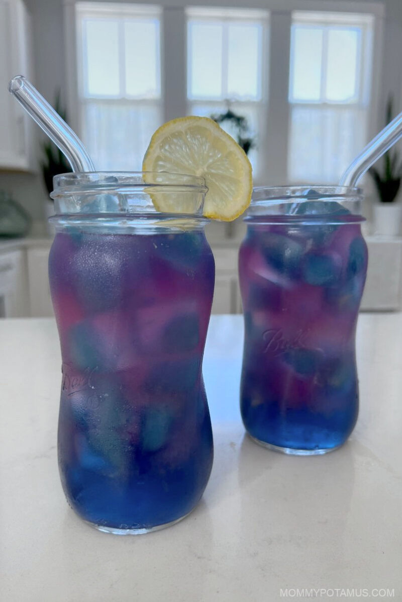 Up close view of butterfly pea flower lemonade