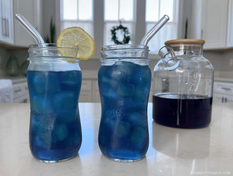 Two glasses of iced blue butterfly tea