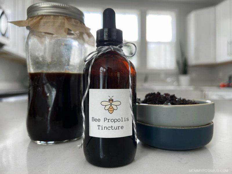 6 Benefits of Bee Propolis + DIY Tincture Recipe