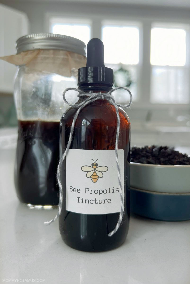 diy bee propolis tincture recipe