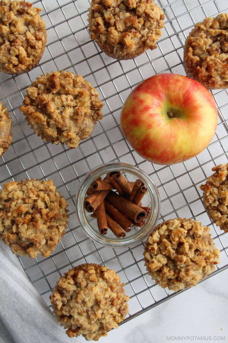 Overhead view of apple cinnamon muffins on cooling rack with fresh apple and cinnamon sticks