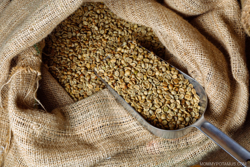 chlorogenic acid green coffee beans