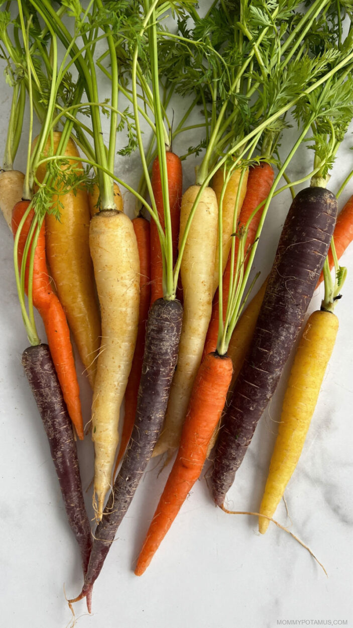 Fresh rainbow carrots with stems still attached