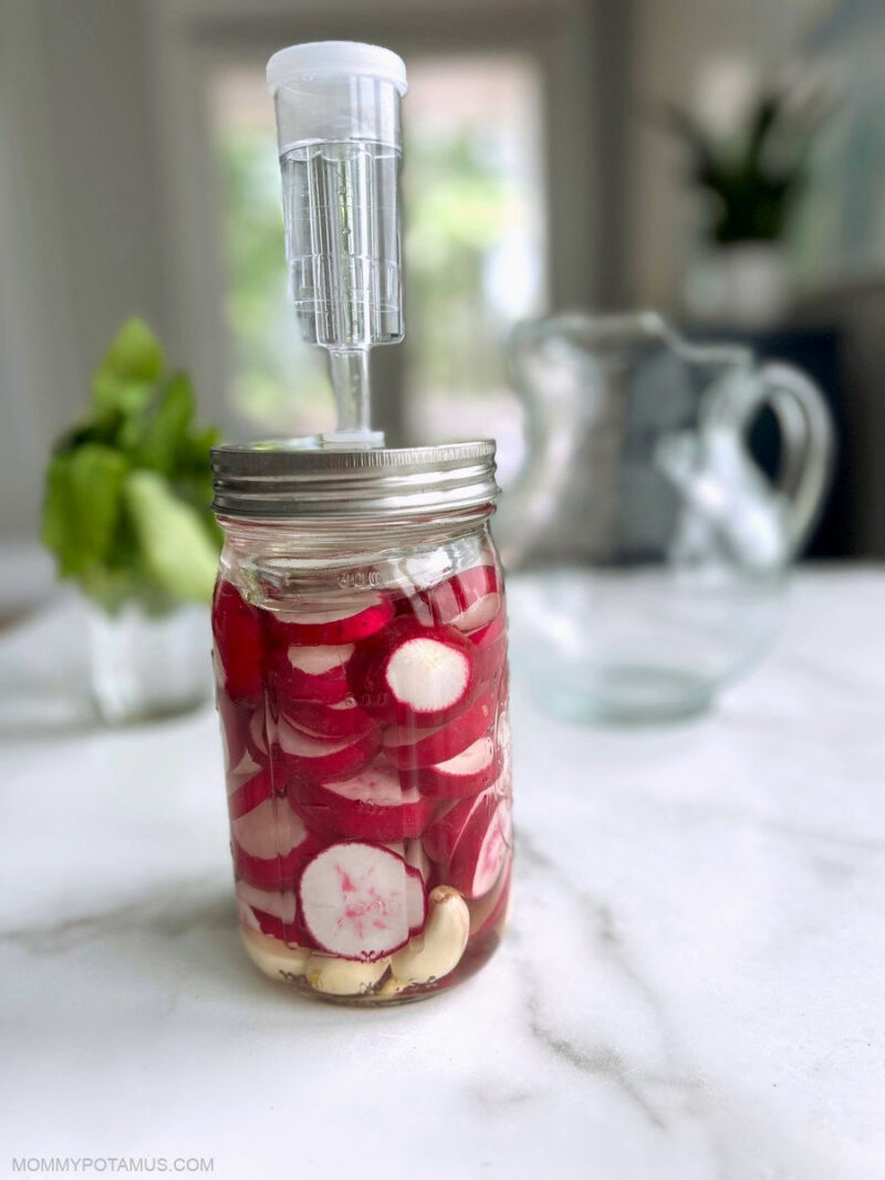 fermented radishes recipe