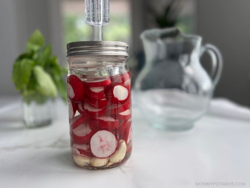 fermented radishes