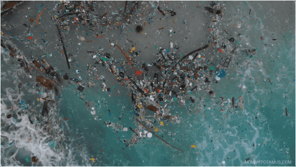 Tiny Particles, Big Concerns: The Health Risks of Microplastics & How To Reduce Exposure