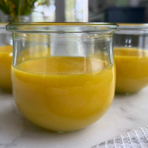 Mango Gelatin Recipe