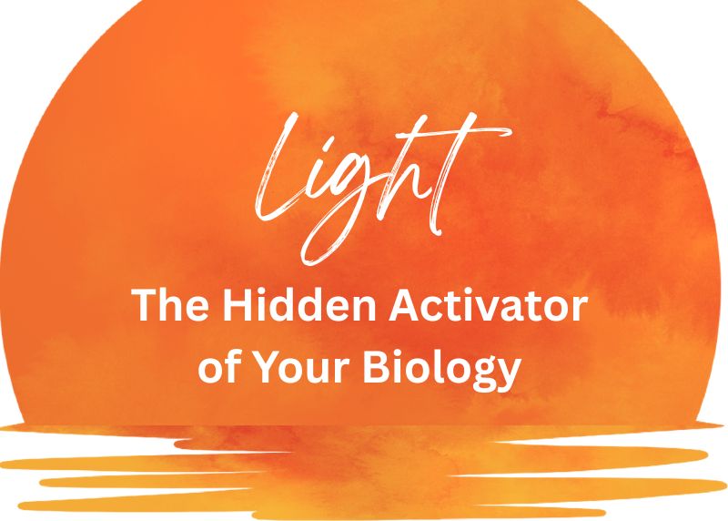 circadian rhythm reset habits