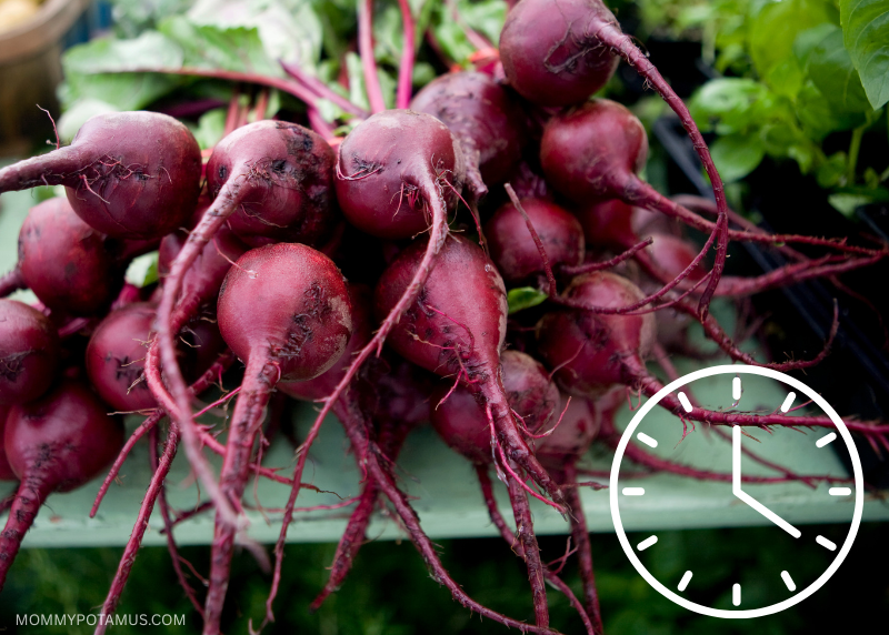gut transit time beet test