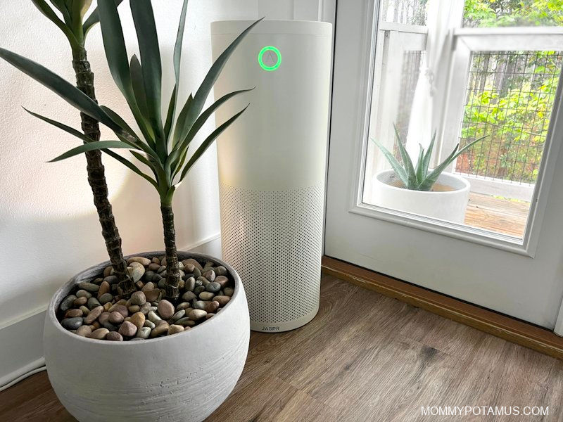 jaspr air purifier review 1