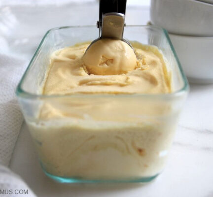 Cottage Cheese Ice Cream Recipe (High Protein)