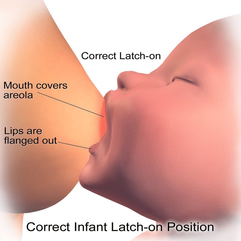 Blausen 0118 Breastfeeding Correct Latch On