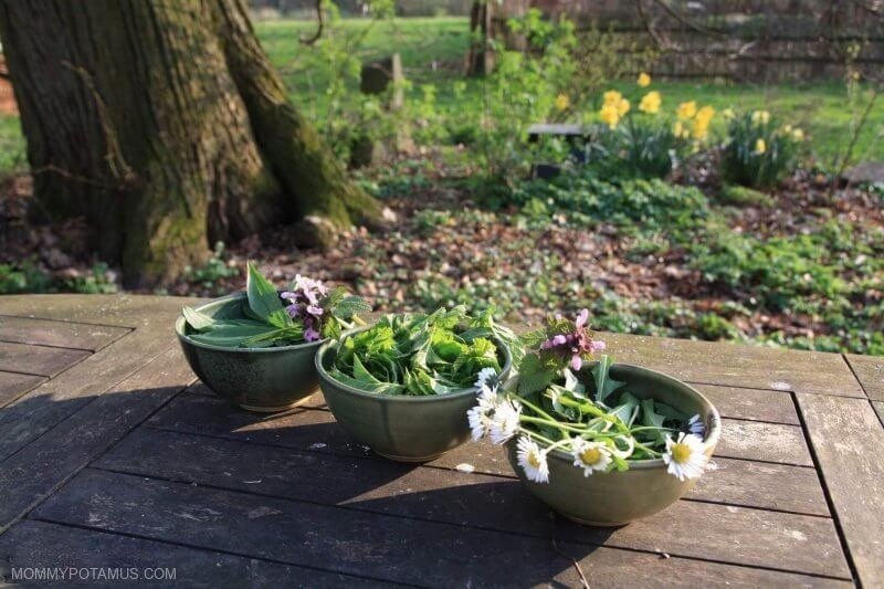 backyard salad