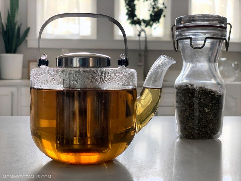 Catnip tea in teapot on kitchen counter