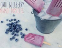 Coconut Blueberry Popsicle Recipe
