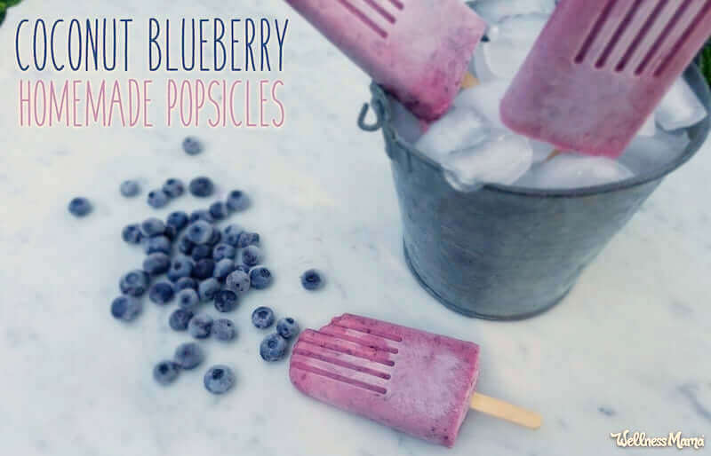 Easy Recipe for Blueberry Popsicles (Healthy and Yummy!)