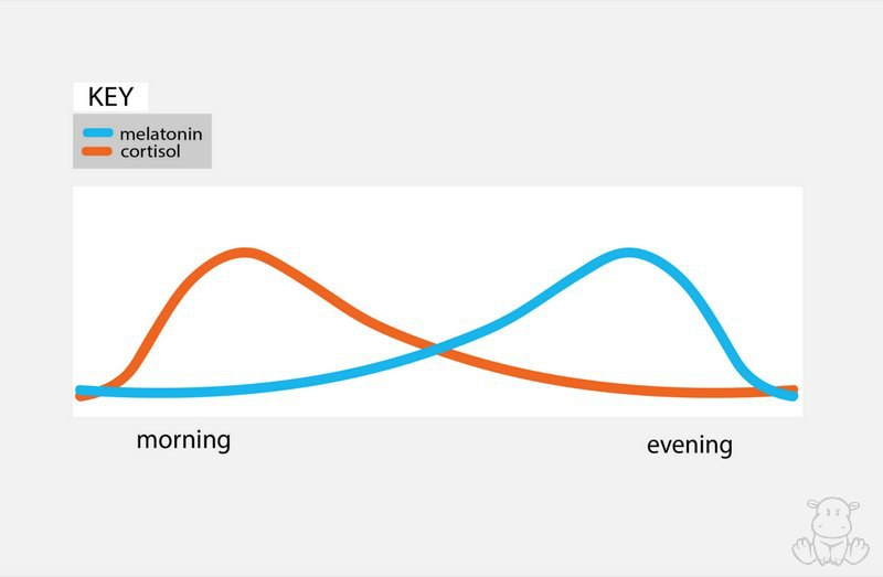 melatonin cortisol graph