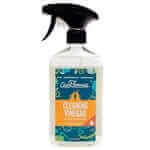 natural all purpose cleaner