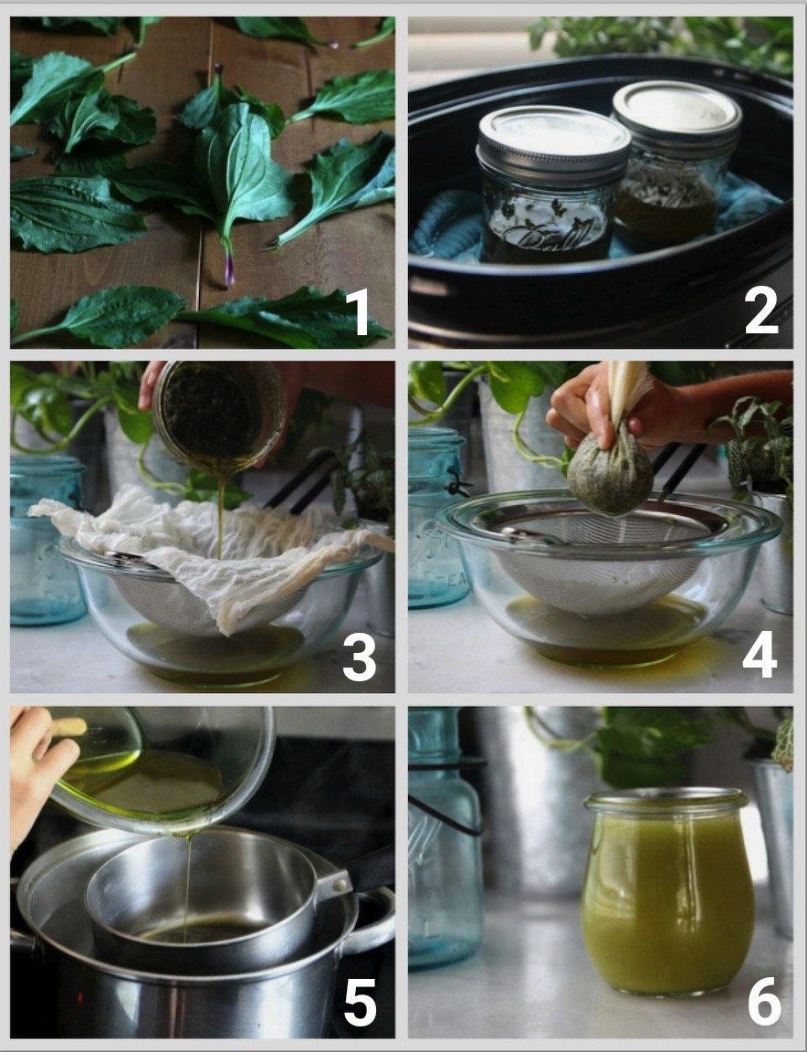 Step-by-step depiction of making plantain salve
