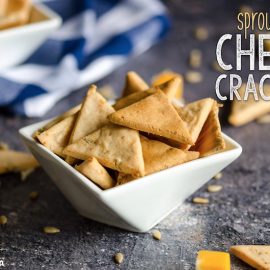 grain free cassava sprouted crackers